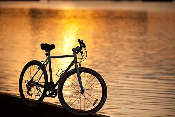 电动自行车“新国标”发布五周年，专家分析新形势